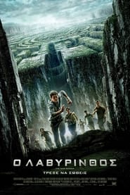 The Maze Runner / Ο Λαβύρινθος  (2014)